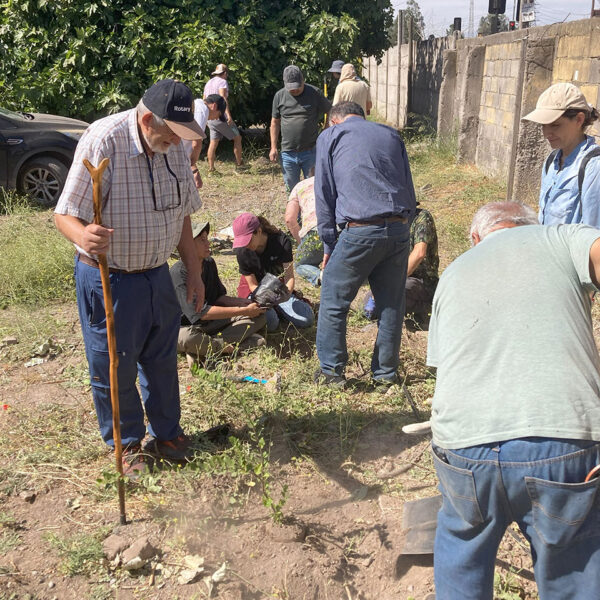 Un jardín nativo para el cerro Escuela La Cantera