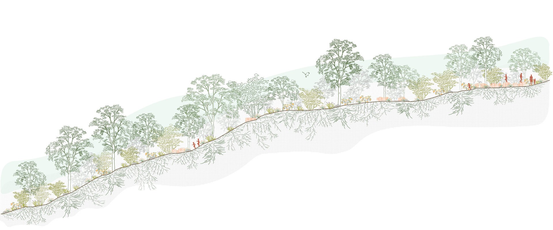 Un proyecto sustentable